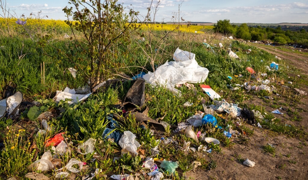 Qual o Impacto Ambiental das Sacolas Plásticas no Meio Ambiente?